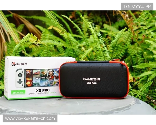 凯8电游官方官网手机版客户端下载支持多设备随时随地畅玩